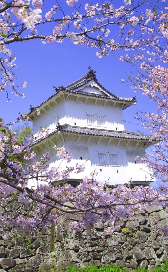 おすすめ観光コースイメージ